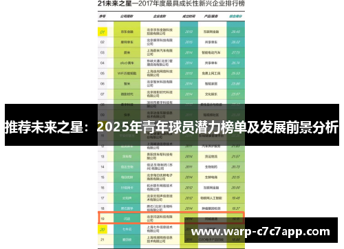 推荐未来之星：2025年青年球员潜力榜单及发展前景分析