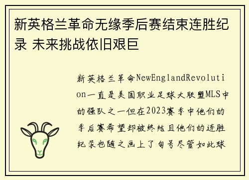 新英格兰革命无缘季后赛结束连胜纪录 未来挑战依旧艰巨 新英格兰革命无缘季后赛结束连胜纪录 未来挑战依旧艰巨