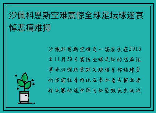 沙佩科恩斯空难震惊全球足坛球迷哀悼悲痛难抑